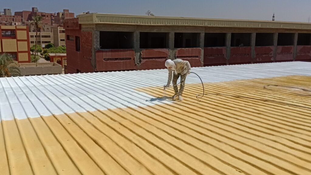 أفضل شركة لمكافحة الحشرات